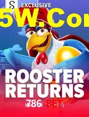 Crash Games Statistics 786 Bet